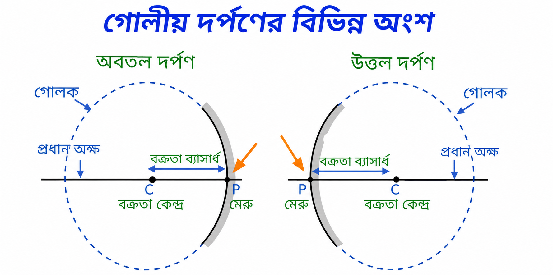 ChatGPT Image May 11 2026 12 24 44 PM