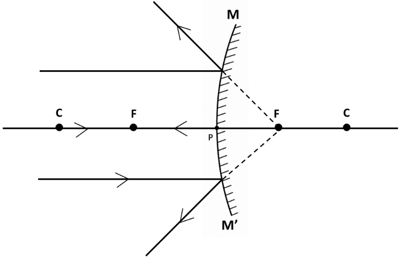 Picture7