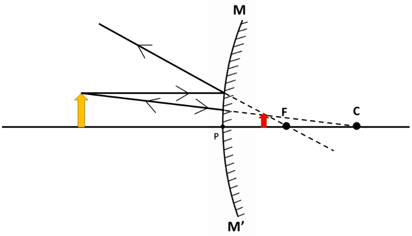 Picture8
